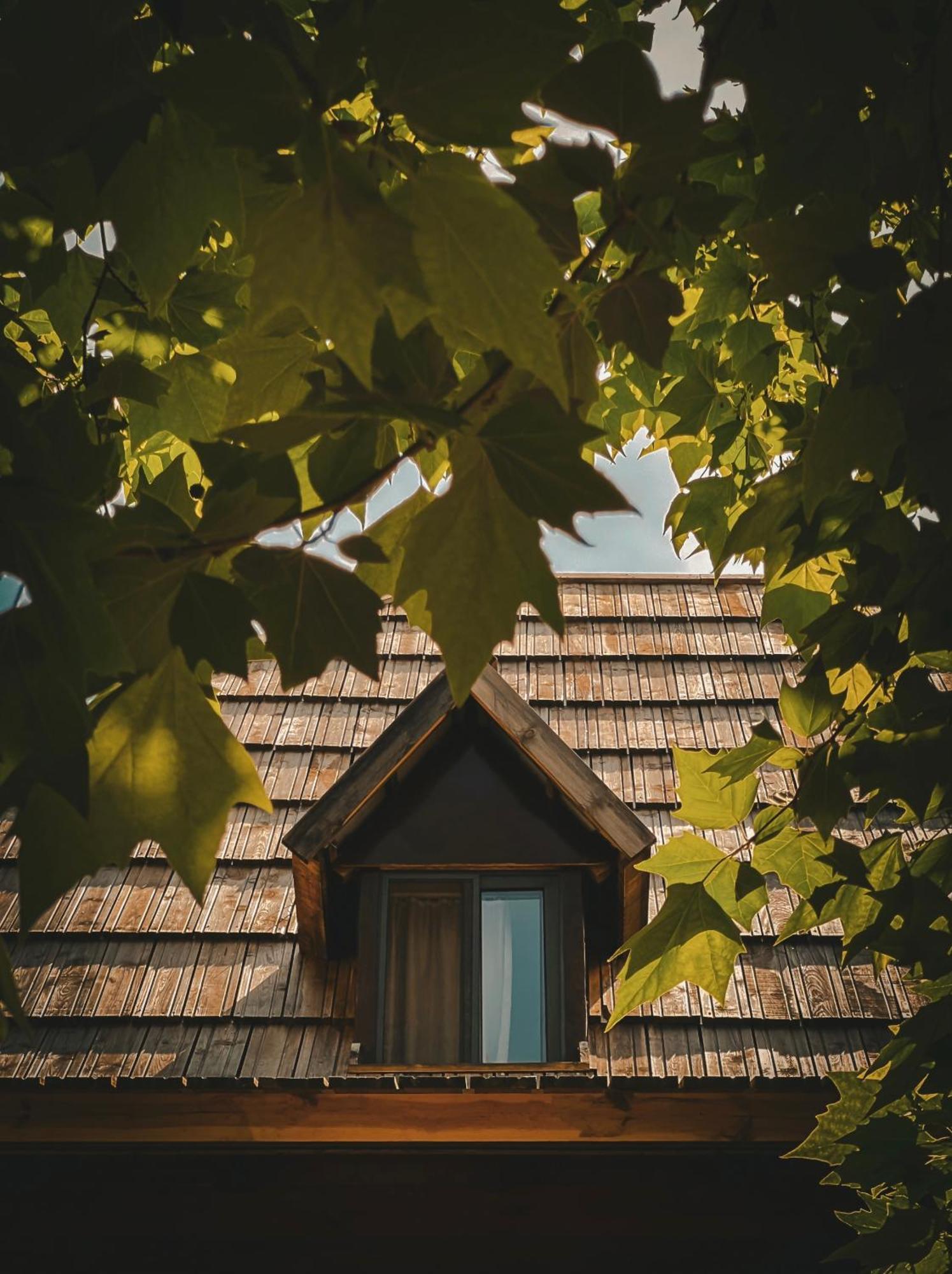 Guesthouse Pashko Тети Экстерьер фото